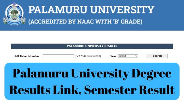 Palamuru University Degree Results Link, Semester Result