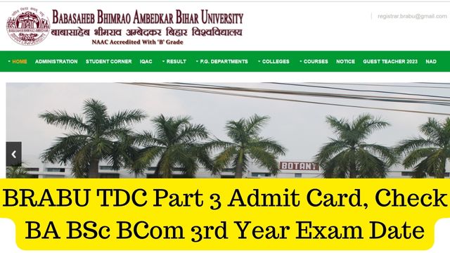 BRABU TDC Part 3 Admit Card