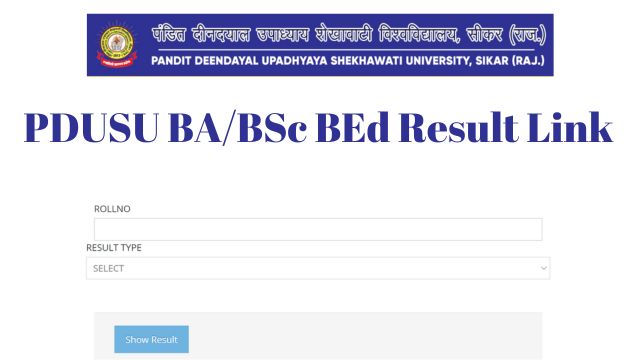 PDUSU BA BSc BEd Result Link