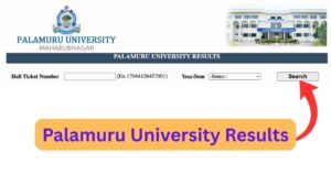 Palamuru University Results